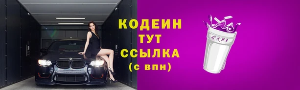 стафф Вязьма