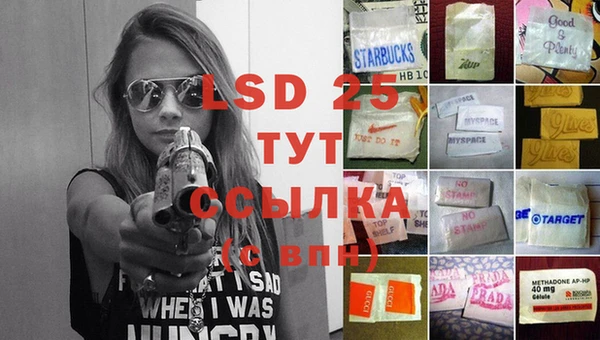 стафф Вязьма