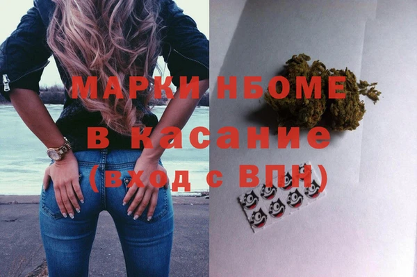 стафф Вязьма