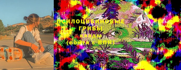круглые Вяземский